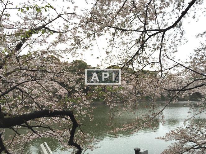  | THE PARKHOUSE GRAN CHIDORIGAFUCHI Exterior photo 20