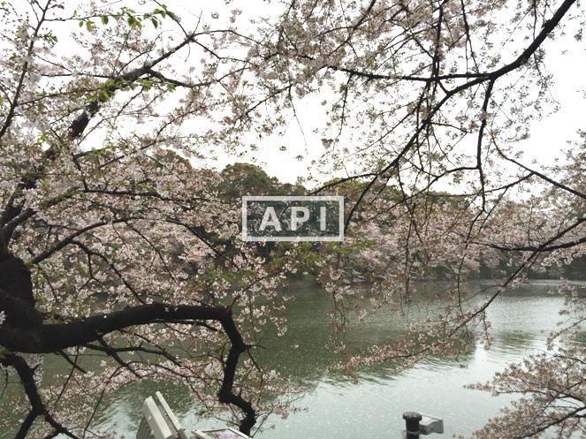  | THE PARKHOUSE GRAN CHIDORIGAFUCHI Exterior photo 13