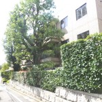 Exterior | MANOR FURUKAWA Exterior photo 06