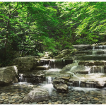  | THE PARKHOUSE GRAN CHIDORIGAFUCHI Exterior photo 10