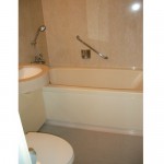  | LA COLINE JINGUMAE Interior photo 09