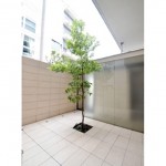  | MEW Exterior photo 05