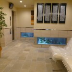  | ELSTANZA HIRAKAWA-CHO Exterior photo 07