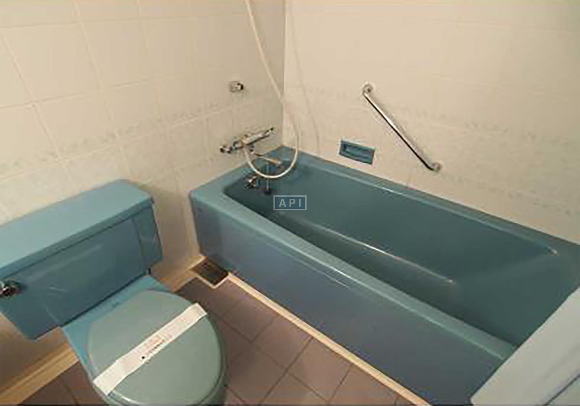  | OYAMA PARK HILLS Interior photo 12