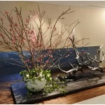  | PARK AXIS PREMIER MINAMI-AOYAMA Exterior photo 11