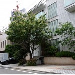  | IKEDAYAMA FLATS Exterior photo 02