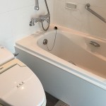  | AZABU DAI-ICHI MANSIONS Interior photo 18