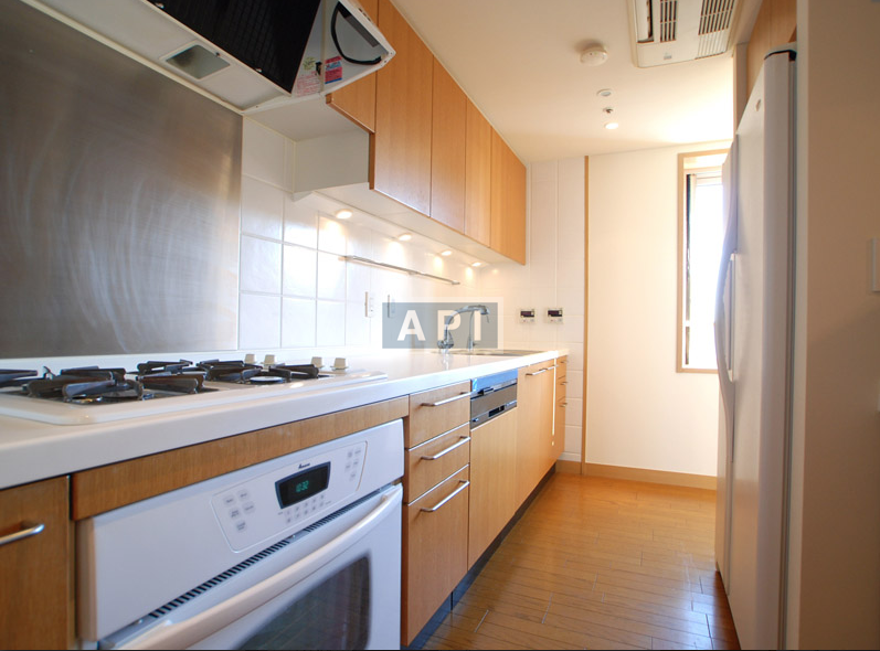  | ROPPONGI SAKURAZAKA RESIDENCE Interior photo 05