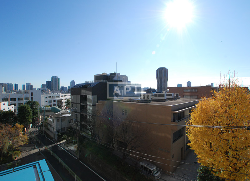  | ROPPONGI SAKURAZAKA RESIDENCE Interior photo 10