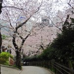  | GROSVENOR PLACE IKEDAYAMA Exterior photo 03