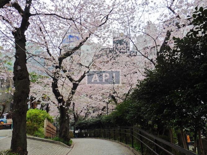  | GROSVENOR PLACE IKEDAYAMA Exterior photo 03