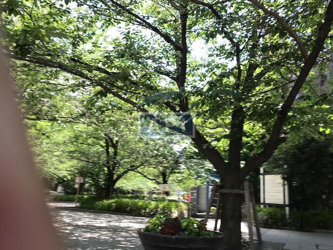  | WE WILL HACCHOUBORI Exterior photo 17