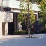  | MEGURO HANABUSAYAMA PLACE Exterior photo 02