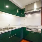  | PRIME URBAN SHINJUKU NATSUMEZAKA TOWER RESIDENCE Interior photo 06