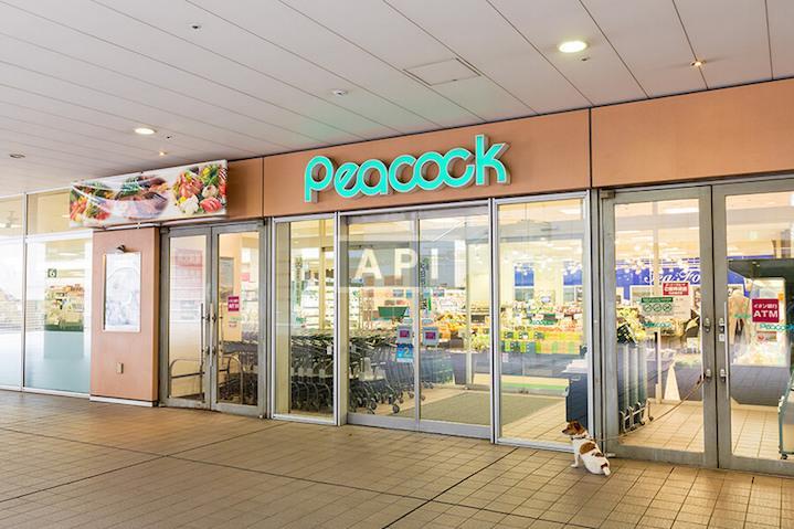  | BUKYO GREEN COURT VIEW TOWER HON-KOMAGOME Exterior photo 05