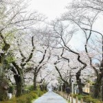  | PRIME GARDEN NISHI-AZABU Exterior photo 18