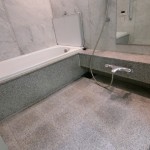  | PARK HOUSE AZABU-KOGAICHO Interior photo 16