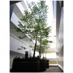  | LE CIMENT TSUKISHIMA Exterior photo 04