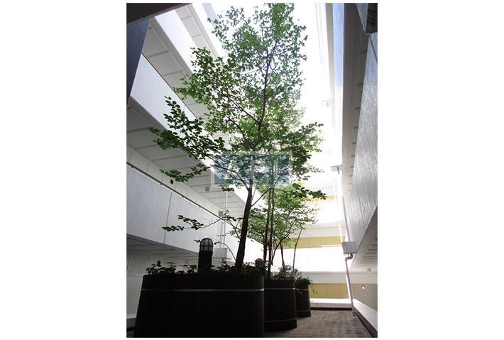  | LE CIMENT TSUKISHIMA Exterior photo 04