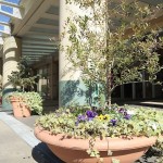  | KAWADACHO GARDEN Ⅰ Exterior photo 03