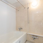  | FLAT MIDORIGAOKA Interior photo 06