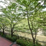  | HOUSE NAKA-MEGURO Interior photo 13