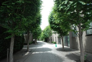 Common Space