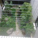 Court Yard | ARISUGAWA HOMES Exterior photo 08