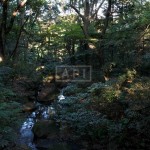 Yoyogi Park | GROSVENOR PLACE KAMIZONOCHO Exterior photo 11