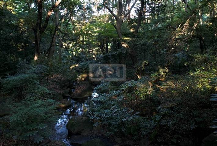 Yoyogi Park | GROSVENOR PLACE KAMIZONOCHO Exterior photo 11