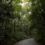 Yoyogi Park | GROSVENOR PLACE KAMIZONOCHO Exterior photo 12