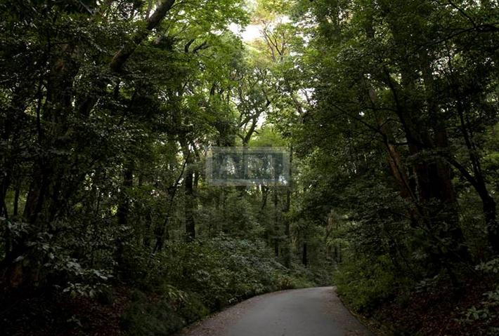 Yoyogi Park | GROSVENOR PLACE KAMIZONOCHO Exterior photo 12