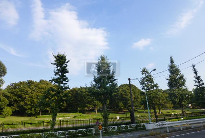 Yoyogi Park | GROSVENOR PLACE KAMIZONOCHO Exterior photo 15