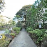 Garden | HOMAT WOODVILLE Exterior photo 09