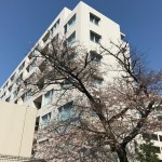  | ABITI MEGURO Exterior photo 08