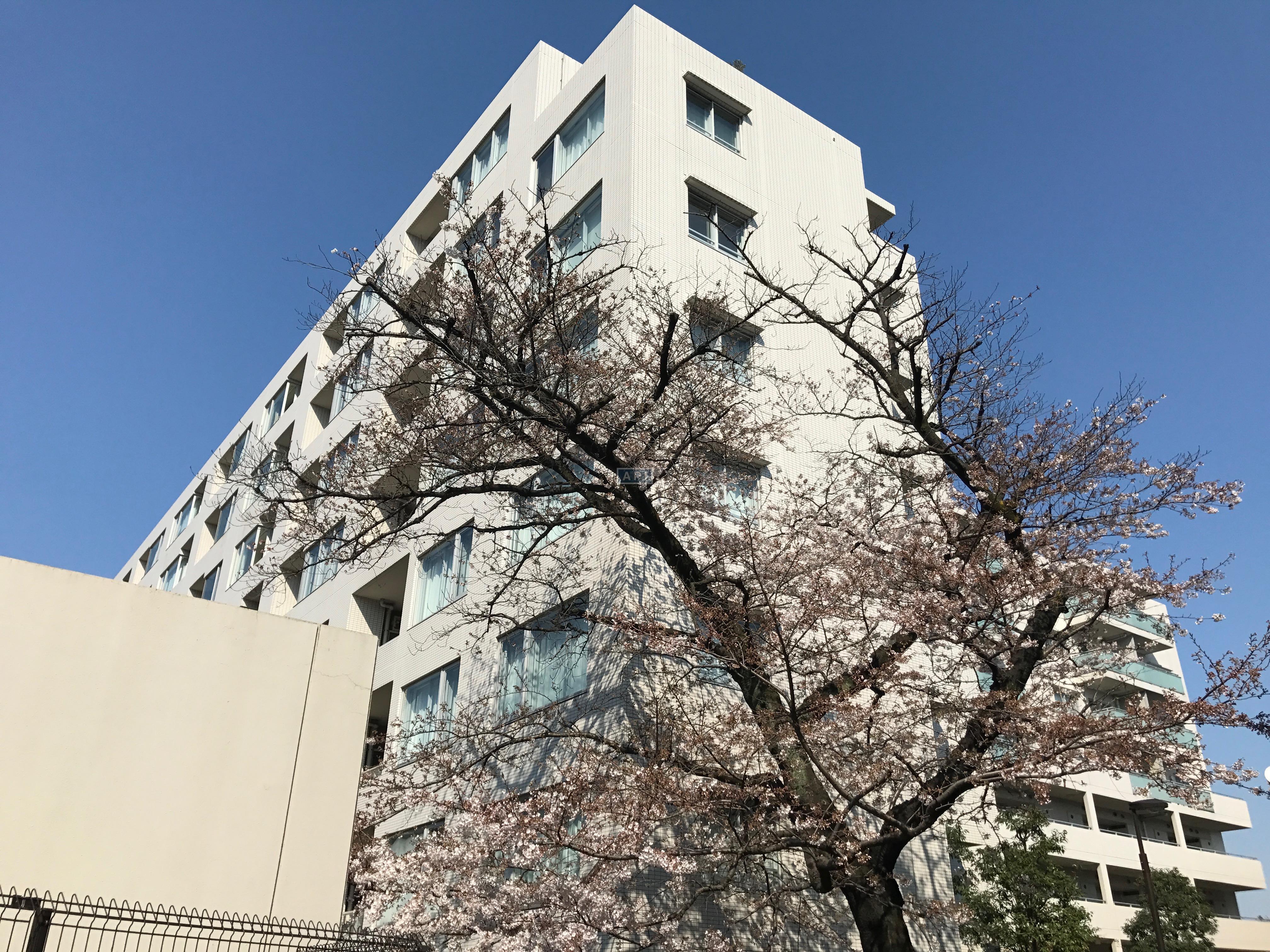  | ABITI MEGURO Exterior photo 08