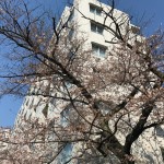  | ABITI MEGURO Exterior photo 09