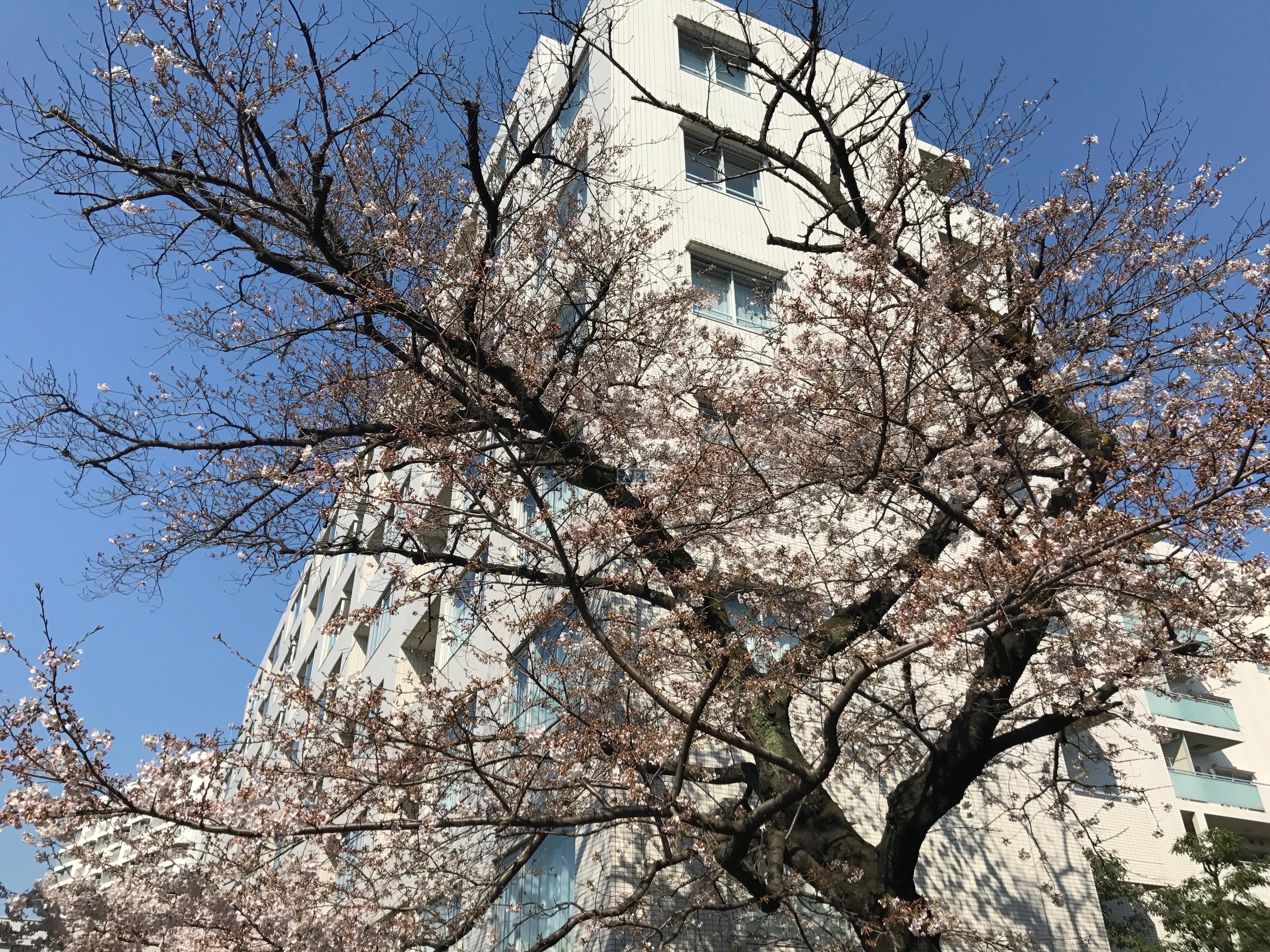  | ABITI MEGURO Exterior photo 09