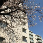  | ABITI MEGURO Exterior photo 10