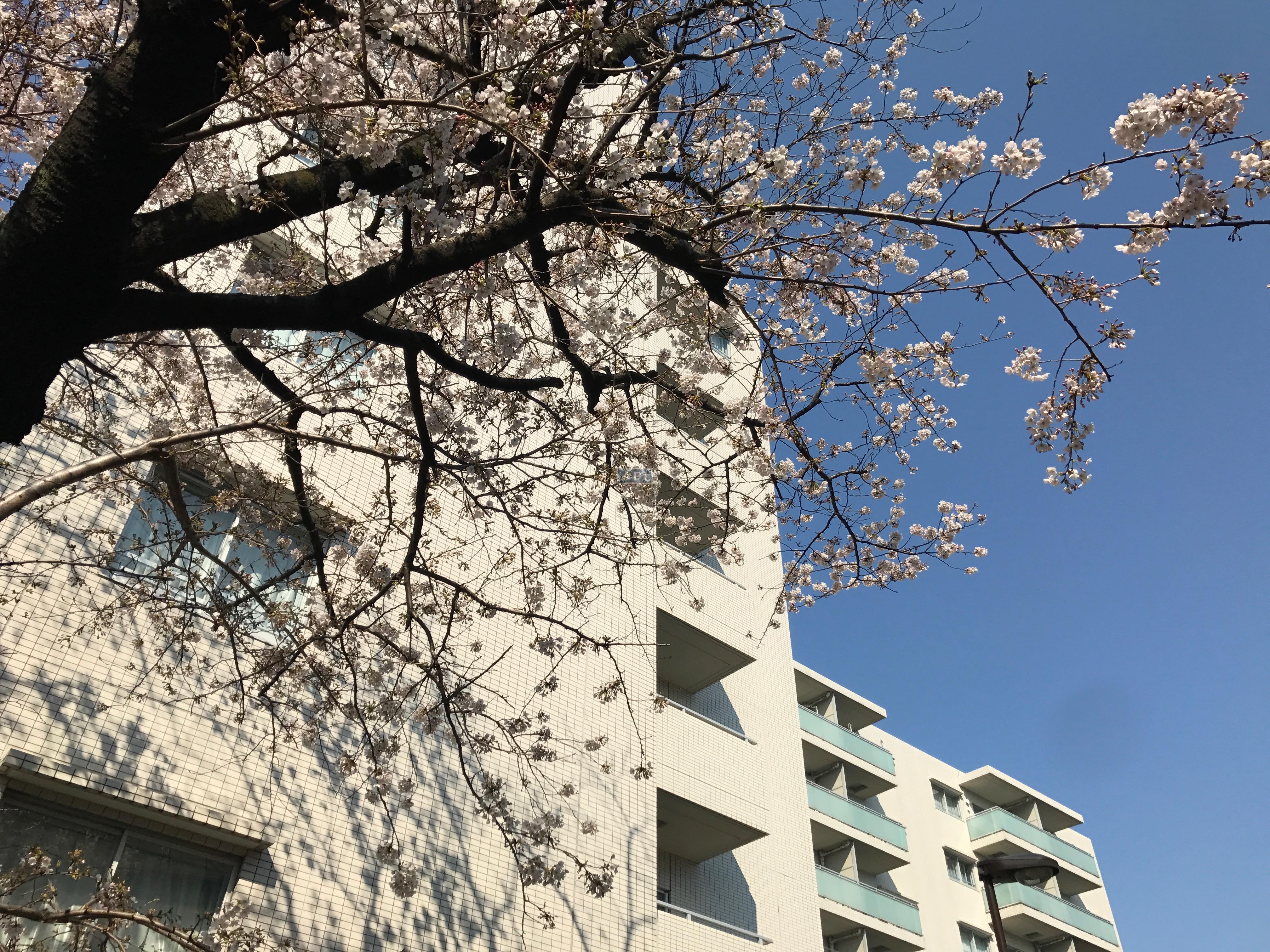  | ABITI MEGURO Exterior photo 10