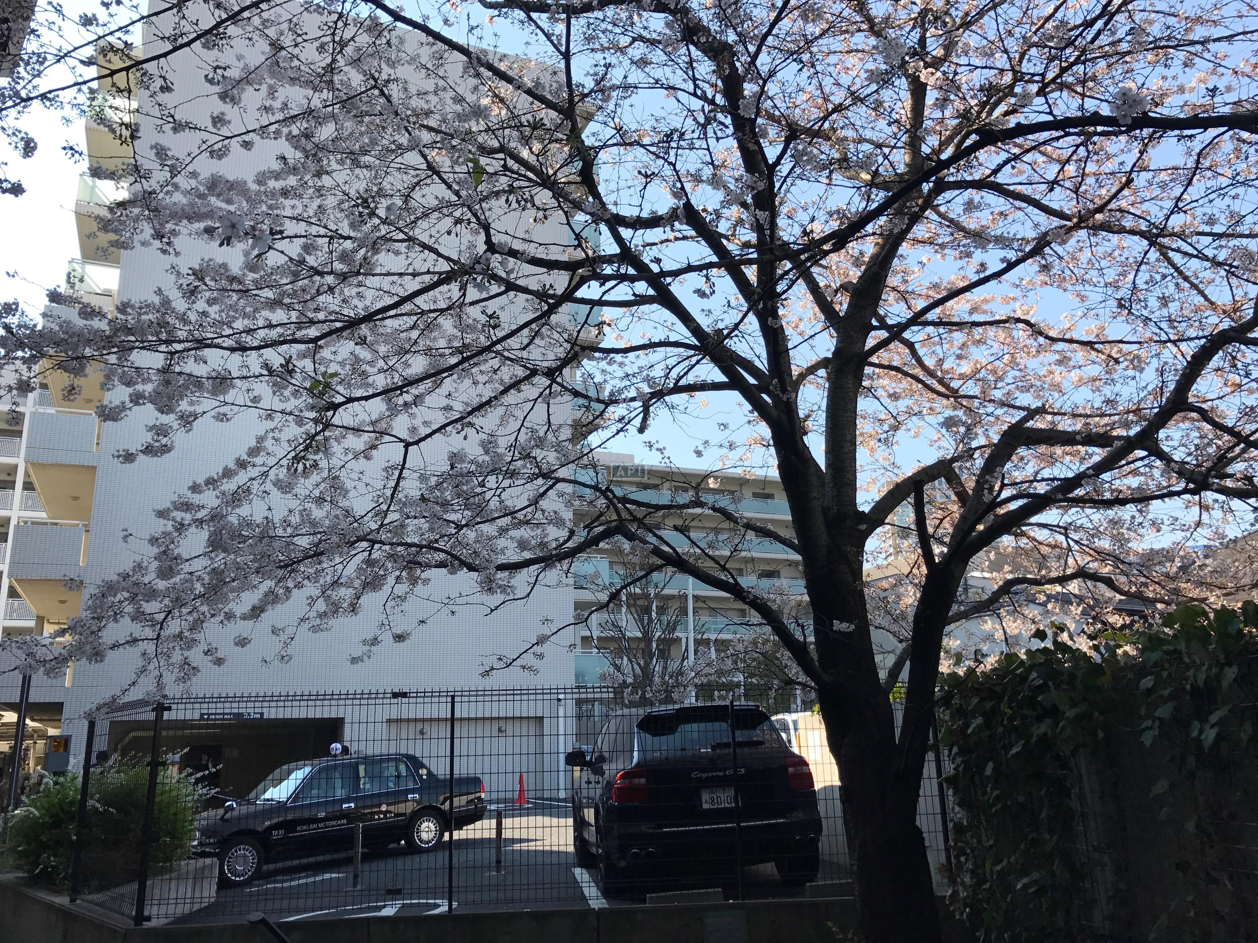  | ABITI MEGURO Exterior photo 11