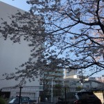  | ABITI MEGURO Exterior photo 12