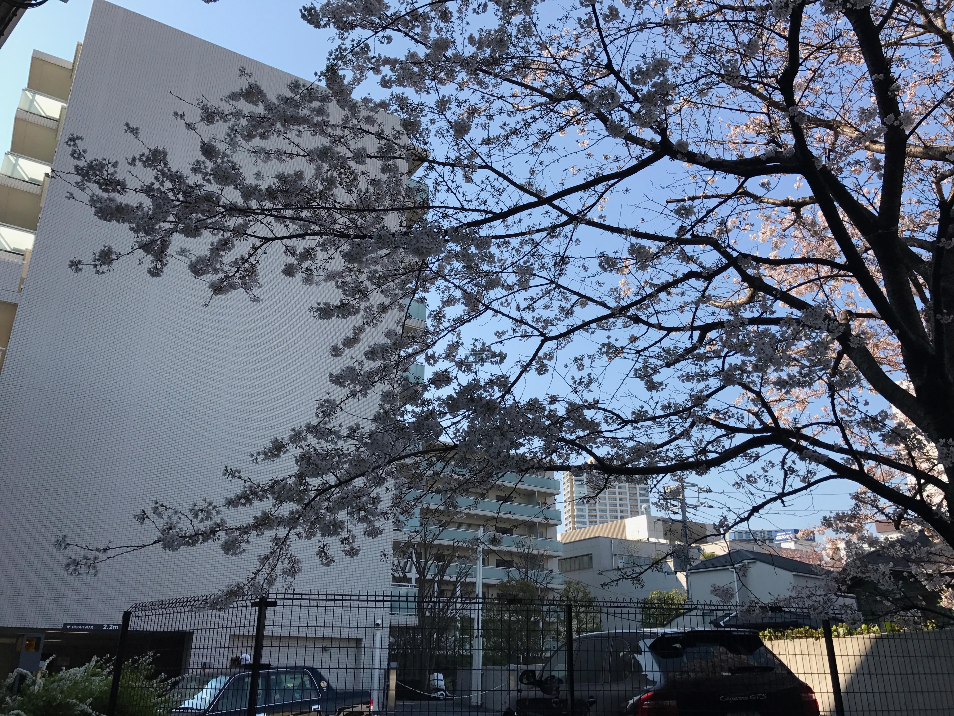  | ABITI MEGURO Exterior photo 12