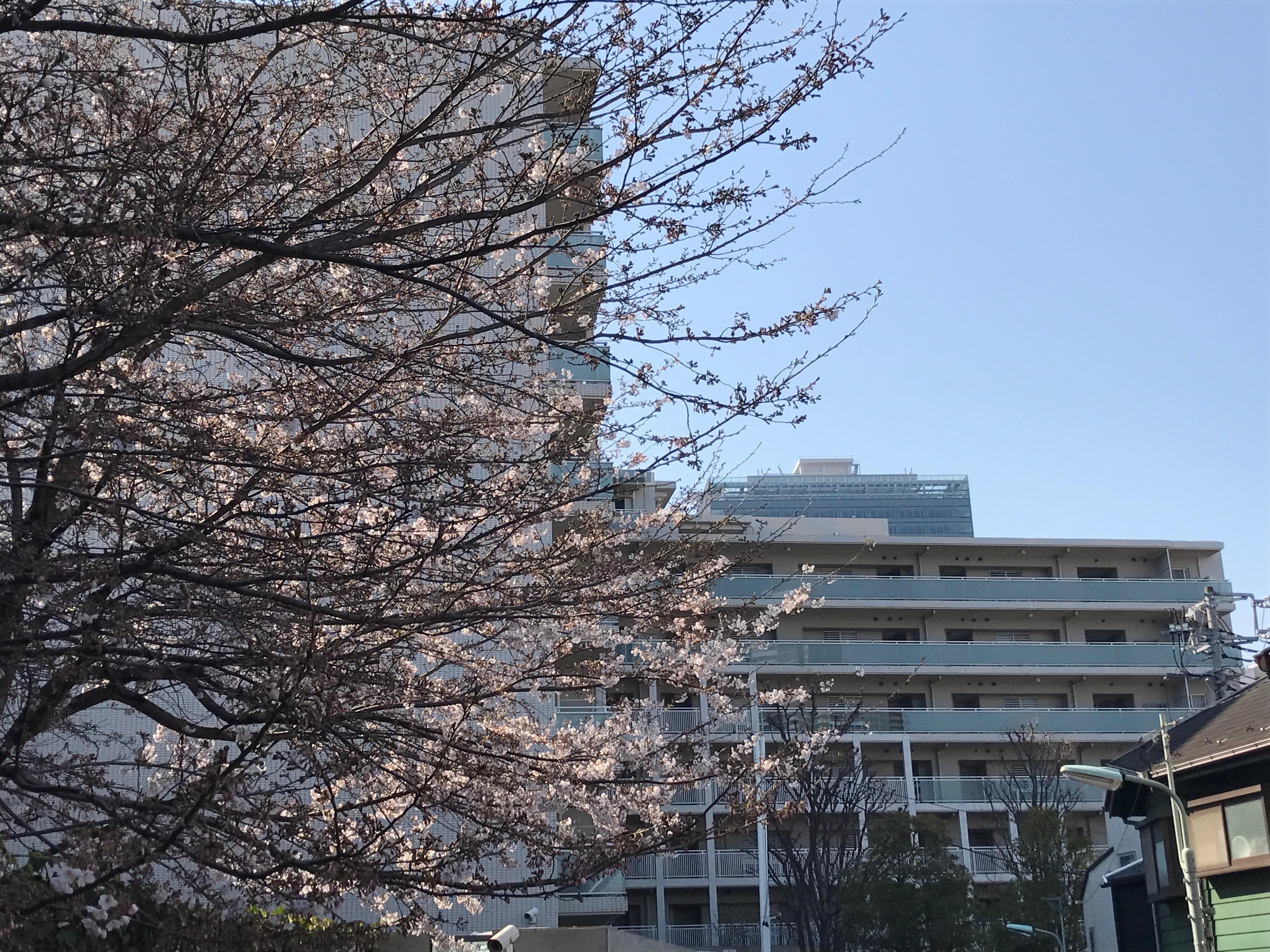  | ABITI MEGURO Exterior photo 13