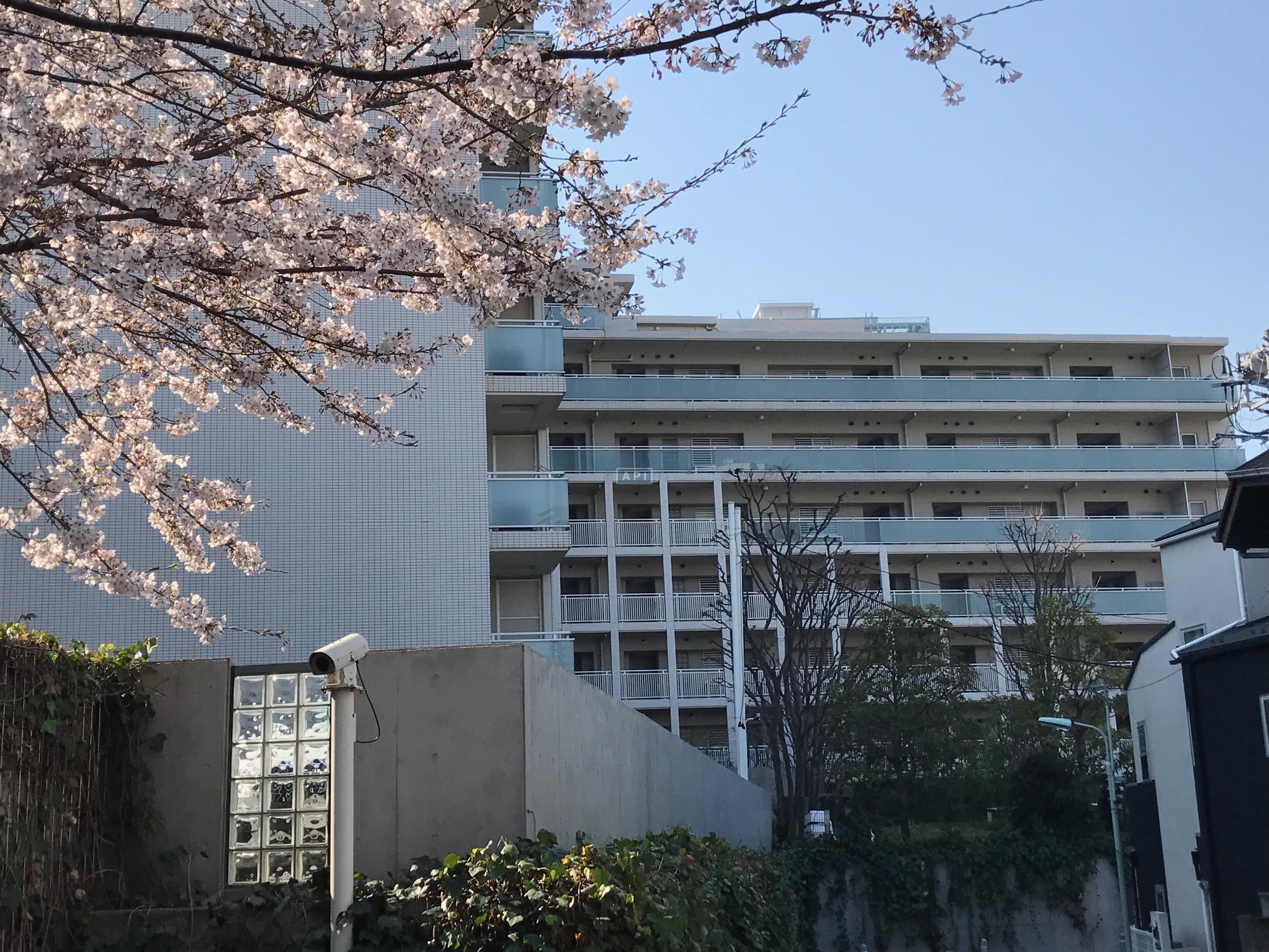  | ABITI MEGURO Exterior photo 14