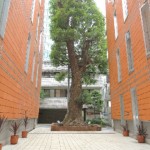  | CASTALIA NISHI-AZABU-KASUMICHO Exterior photo 03