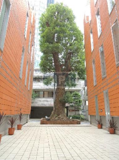  | CASTALIA NISHI-AZABU-KASUMICHO Exterior photo 03