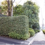  | HOMAT MONARCH Exterior photo 16