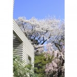  | SEIZANKYO Exterior photo 18