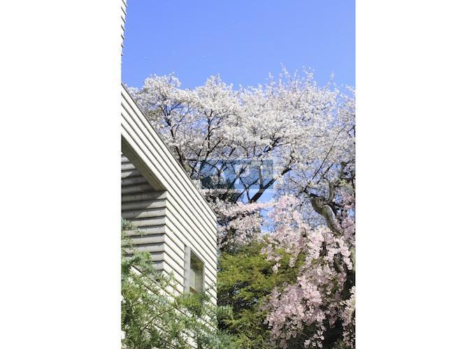  | SEIZANKYO Exterior photo 18